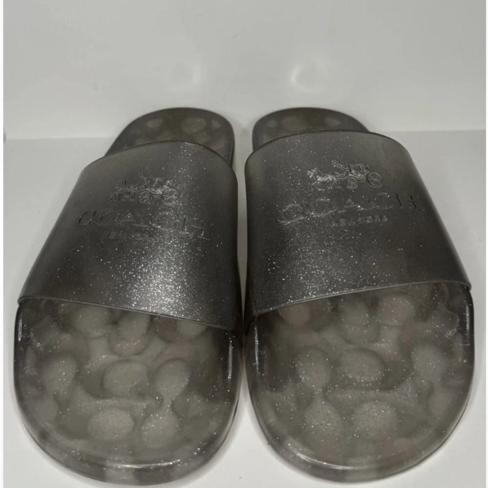 Coach Metallic Gray Slide Sandals